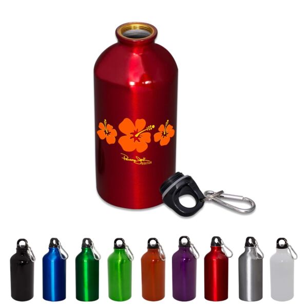 17 oz. Aluminum Petite Bottle